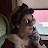 Miss Mindy Avatar