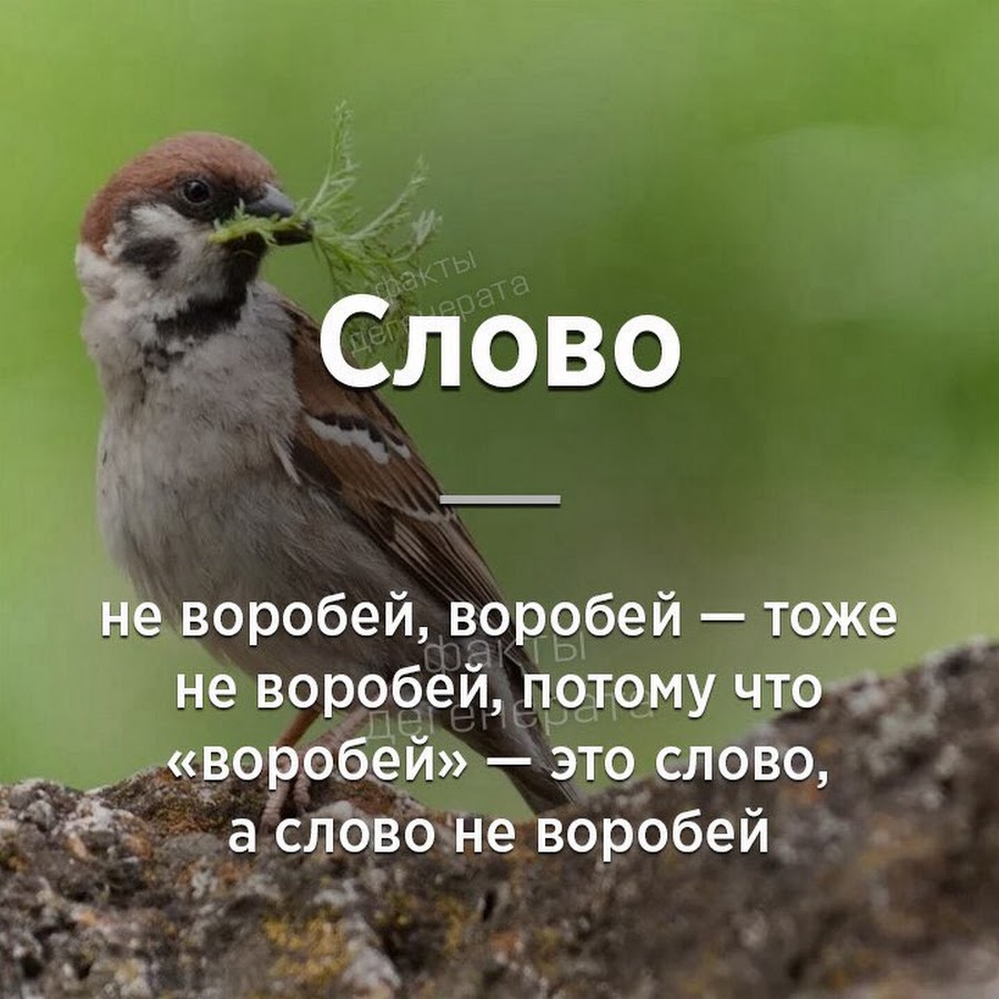 Слово не Воробей