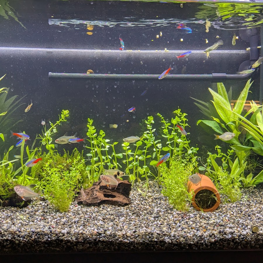 死神ユイ名前は気にすな系配信者 Youtube