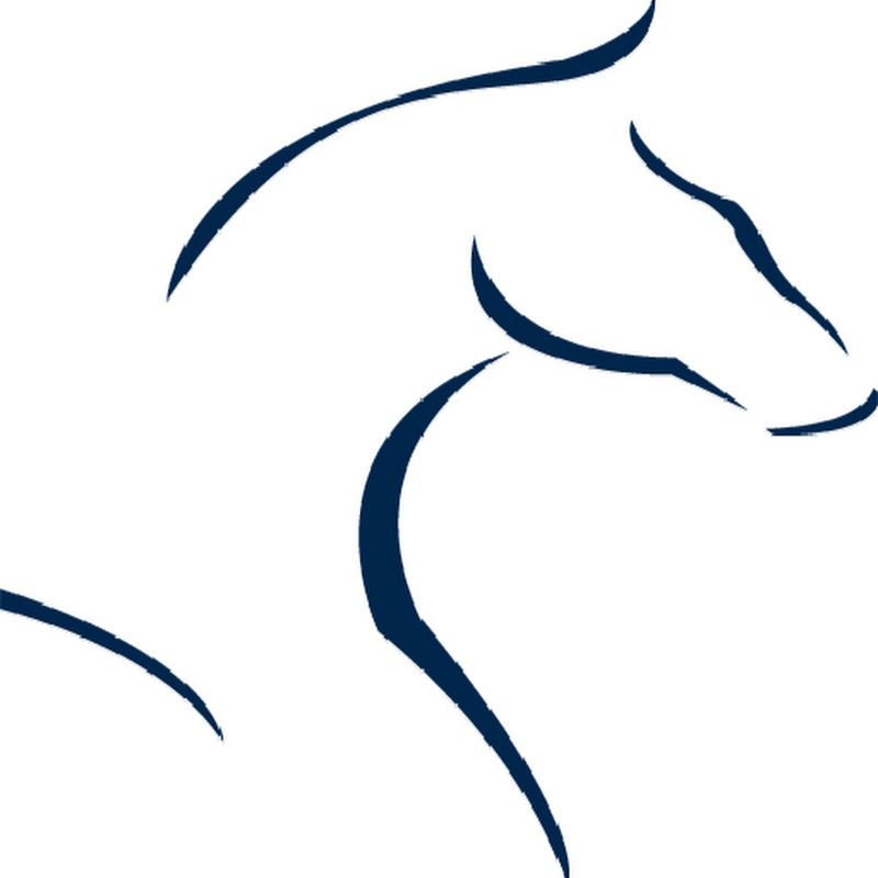 Blenheim EquiSports