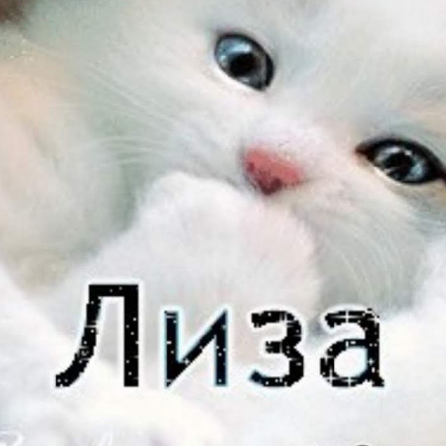 Имя лиза картинки