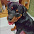 Gail Cruz Avatar