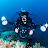 Ryan Snodgrass Avatar