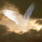 Olawm Shabeel