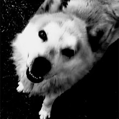 Thumbnail of related channel
