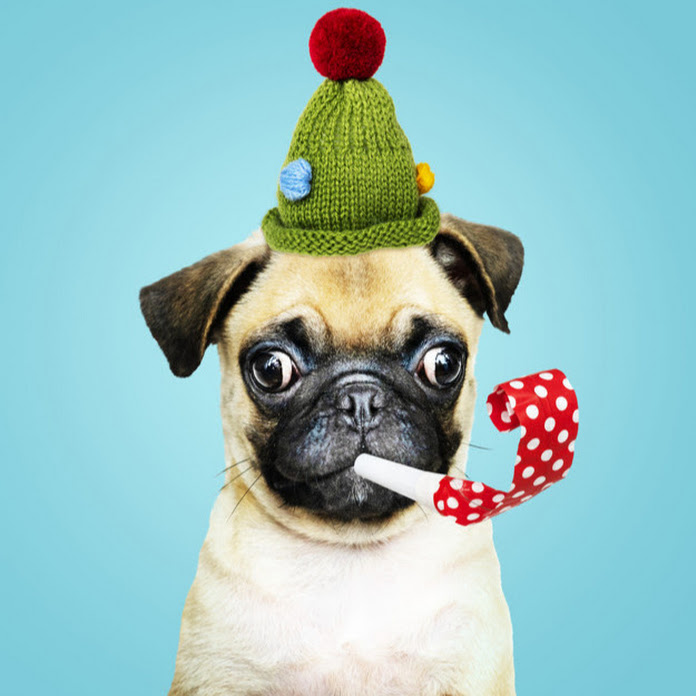 FUNNY ANIMALS Net Worth & Earnings (2025)