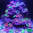 FeedThatReefAddiction Avatar