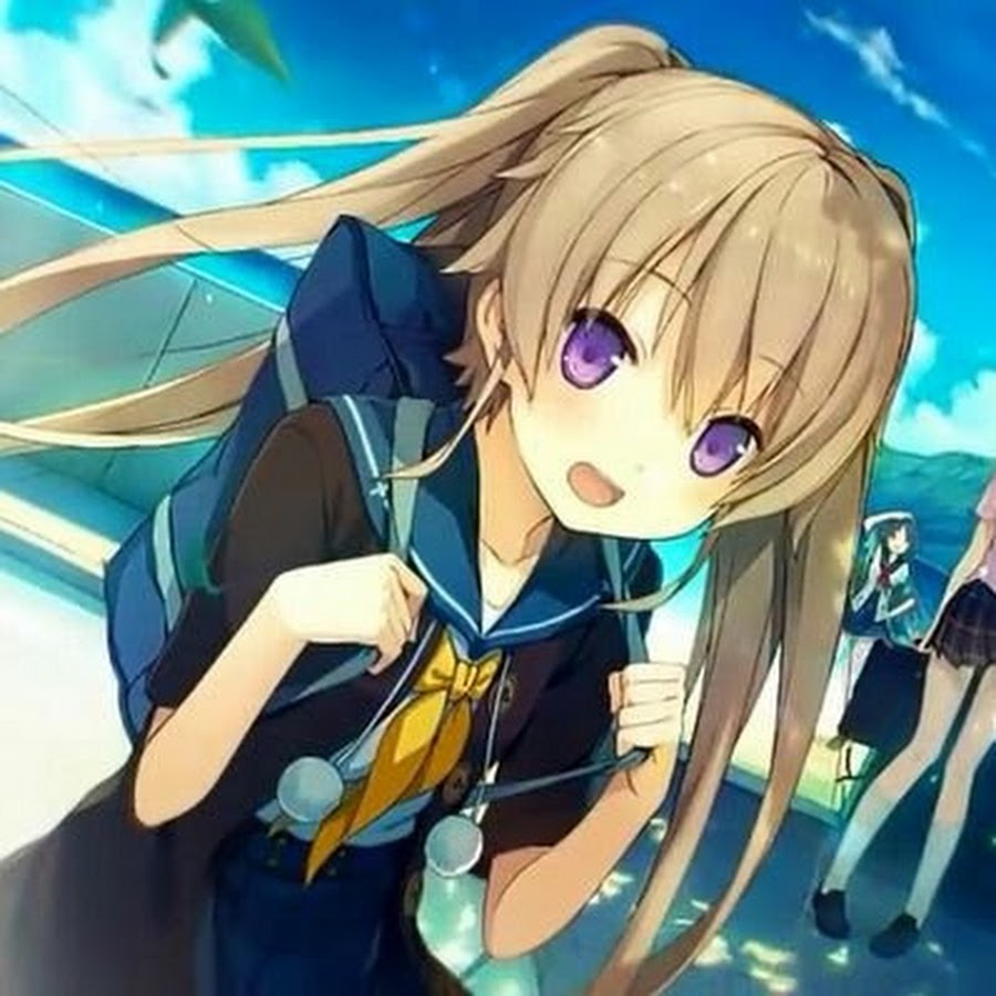 セイカー Youtube