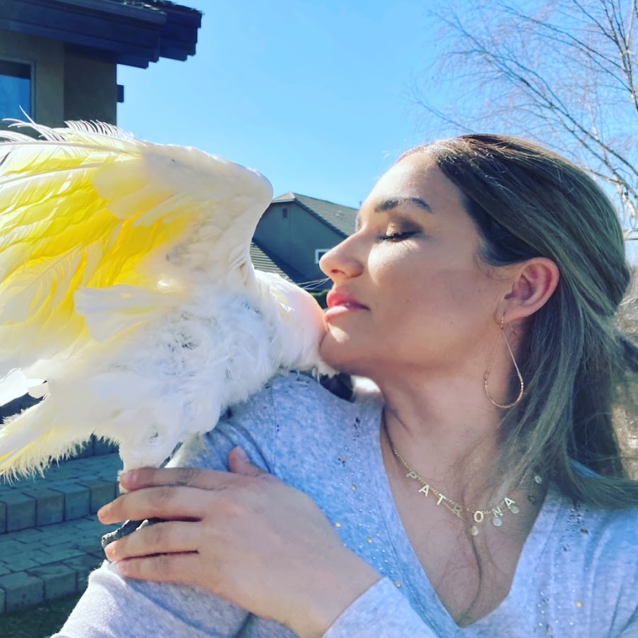 AMLnZu_x7Tfd1cjohhwXHW89UJ5fv-TxWPo94_PwrHQX=s900-c-k-c0x00ffffff-no-rj