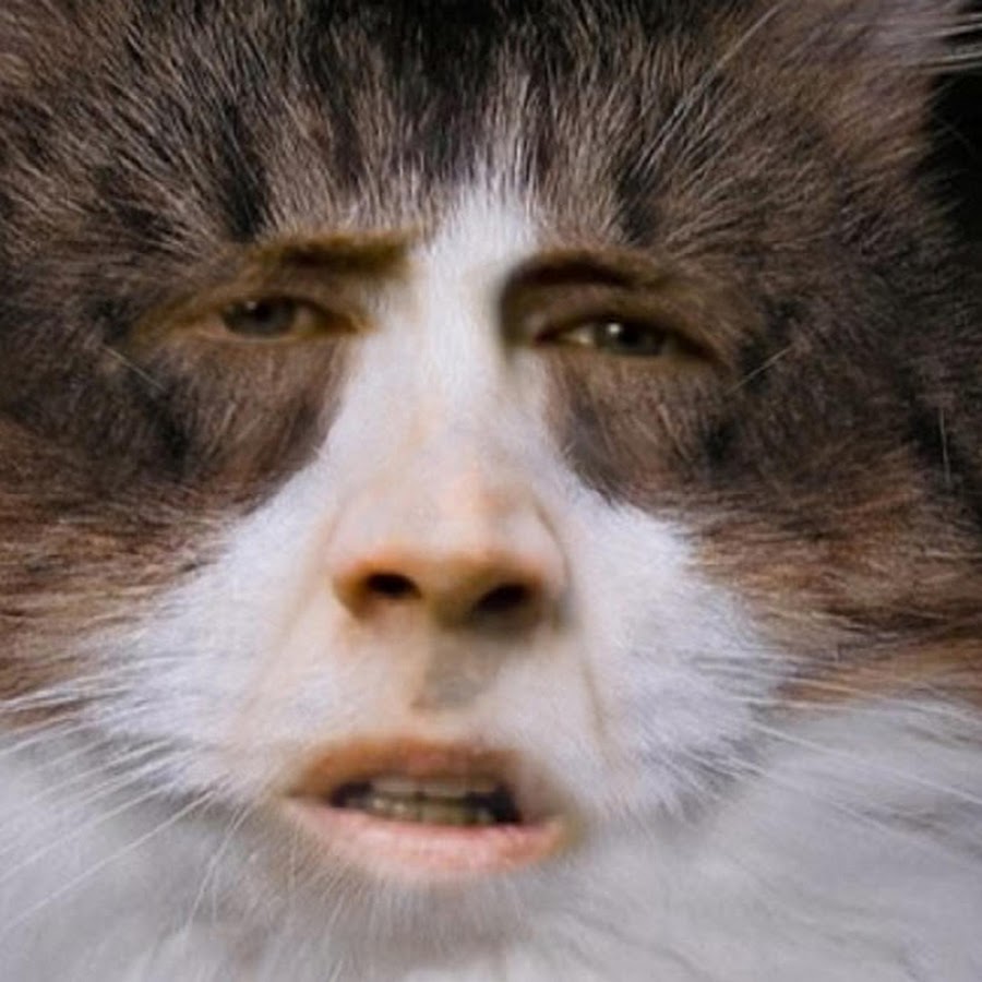 Николас Кейдж кот