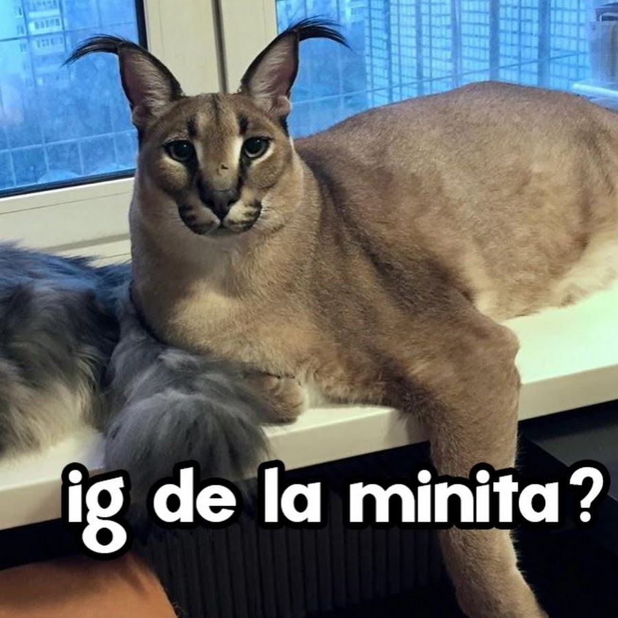 AMLnZu_y3gjtfCLPh8HGIiqjujjCLlzeOwPkcSoew9u9=s900-c-k-c0x00ffffff-no-rj