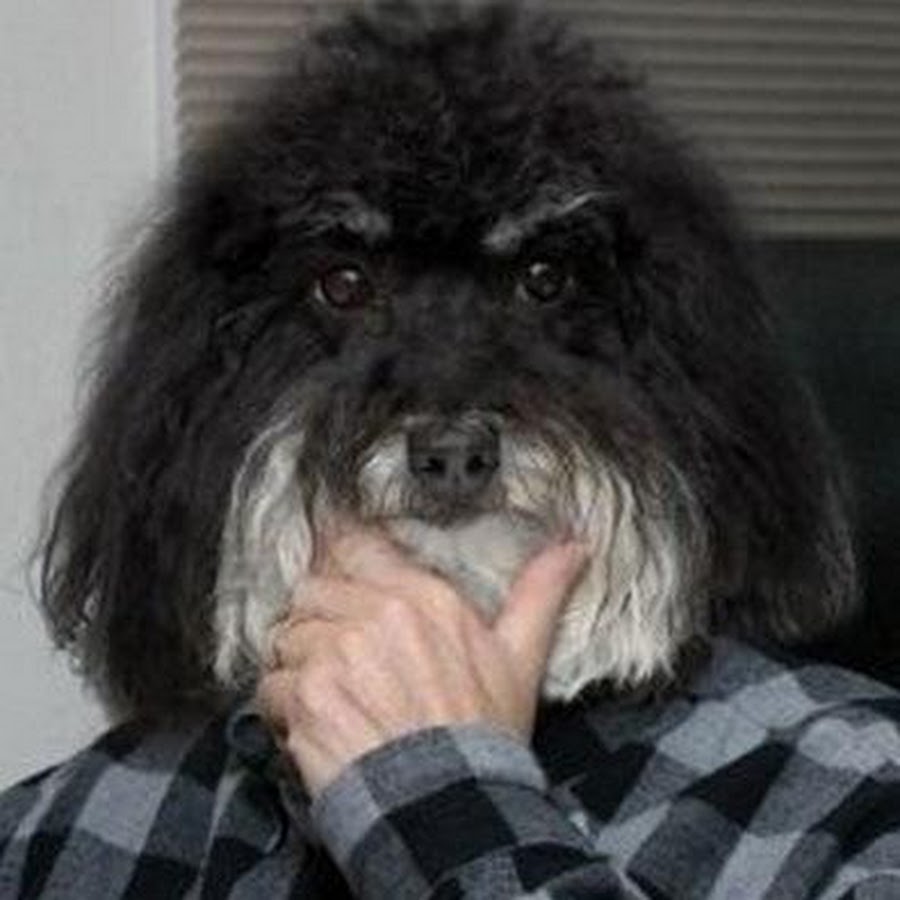 Смайлик здоровья картинки