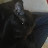 Cat Hunter27 Avatar
