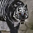 Black Smith Tiger