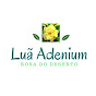Luã Adenium