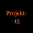 Projekt_13