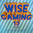 Wise gaming 13