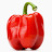 Denis Pepper