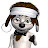 Dog Mania Avatar