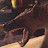 BeastMaster09 Avatar