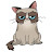 GRUMPY CAT