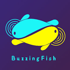 BuzzingFish net worth