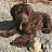 Izzy Meadows Avatar