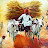 Rambabu Boggarapu Avatar