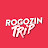 RogozinTrip