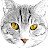 Alex !M Avatar