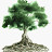 Andy Johnson Avatar