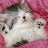 SHASHA miaow Avatar