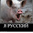 Я Ненавижу Русских
