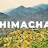 Himachali Vines