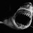 BlackShark-