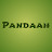 ThePandaahBear