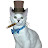 Cat Keys Avatar