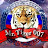 Mr Tiger 007