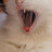 Muza Cat