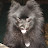 Debbie Jackson Avatar