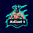 adlari 1
