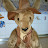 Z skippy the bush kangaroo