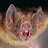 Clover Bat