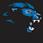 Lions_fan 02