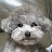 오방울