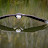 Westcoast Kennedy Avatar