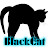 BlackCat 56
