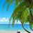 Beach Paradise Vacations