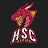 HSC Gaming