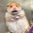디디